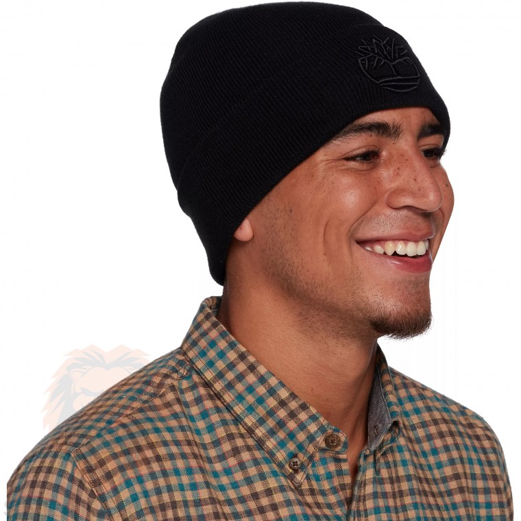 Шапка Timberland 3d logo hat TB0A1F3N 001